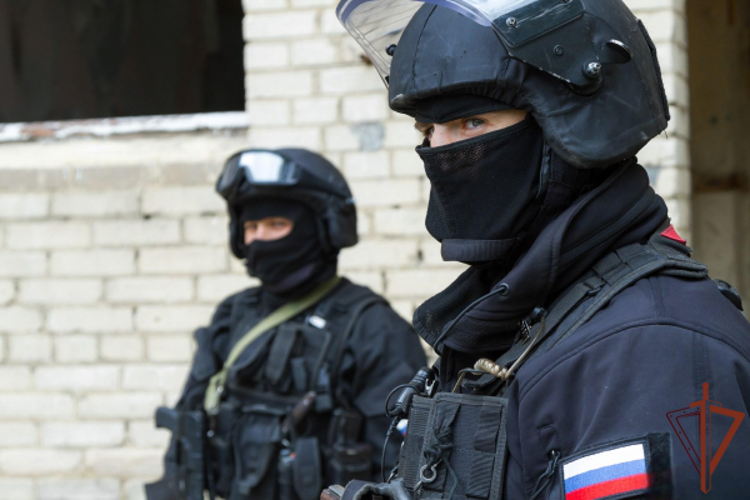 На Южном Урале при силовой поддержке спецназа Росгвардии пресечена незаконная игровая деятельность