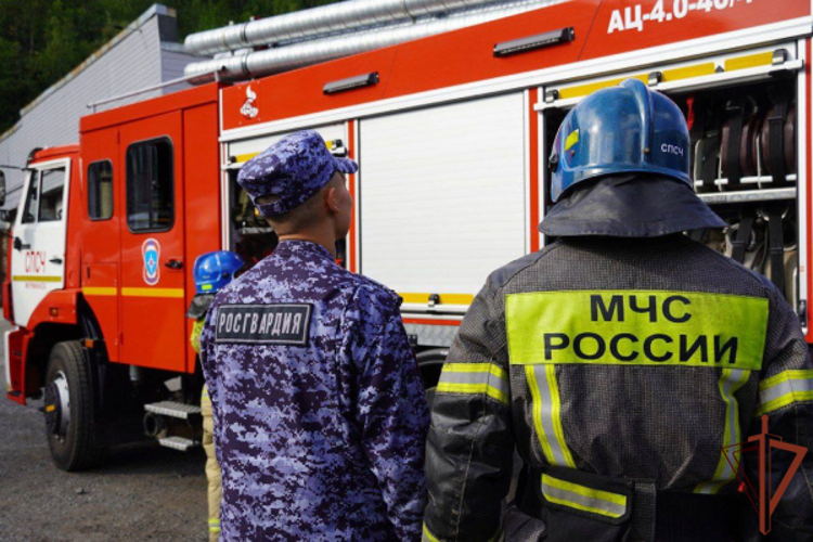 В Северо-Западном округе Росгвардии проходят пожарно-профилактические мероприятия с МЧС России