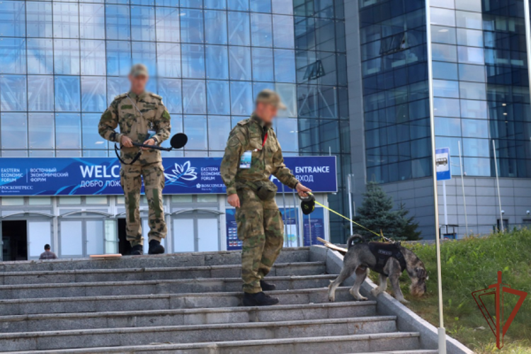 Росгвардия обеспечила безопасность Восточного экономического форума