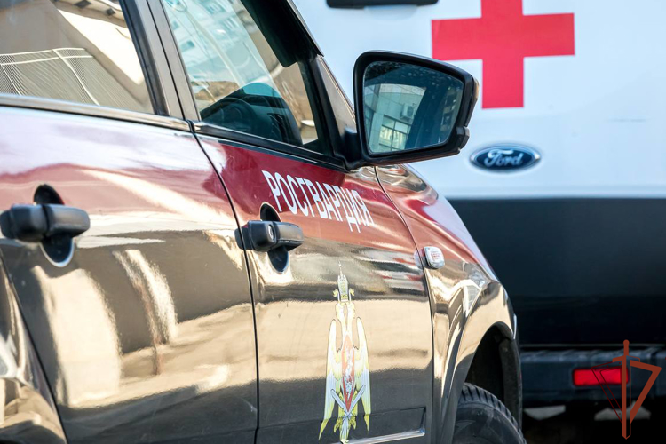 Росгвардейцы задержали в Москве напавшего на бригаду скорой помощи мужчину (видео)