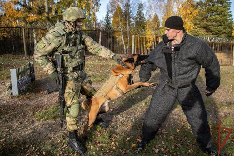 Делегация из Казахстана посетила Пермский военный институт Росгвардии (видео)