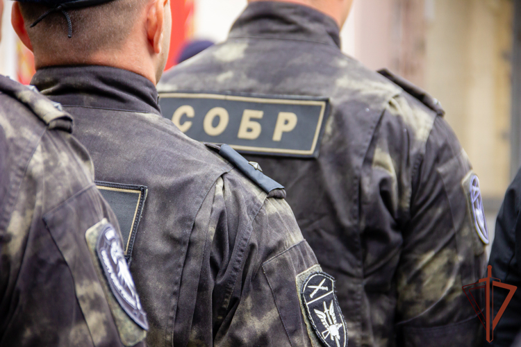 В Краснодарском крае при содействии сотрудников СОБР Росгвардии  задержан мужчина, похитивший дорогостоящую икону 