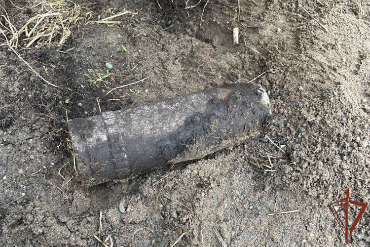 Взрывотехники Росгвардии в Красноярском крае уничтожили артиллерийский снаряд
