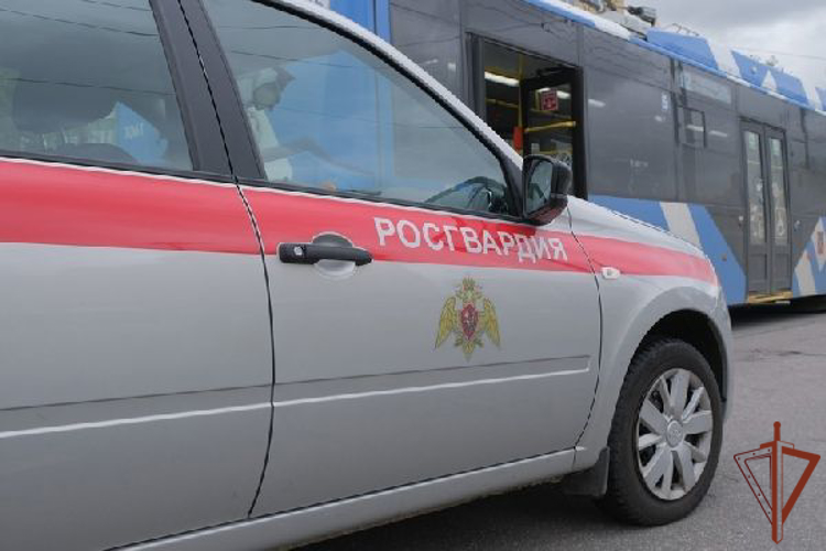 В Петербурге росгвардейцы задержали хулигана, нанесшего побои пассажиру троллейбуса из-за просьбы уступить место женщине (видео)