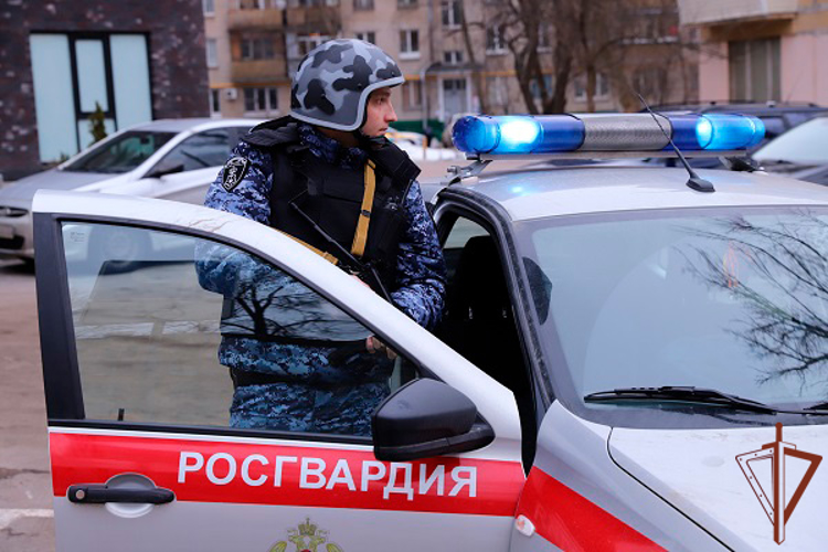 Патруль Росгвардии пришел на помощь пострадавшему в ДТП москвичу (видео)