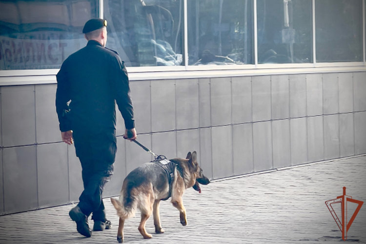 В Екатеринбурге росгвардейцы обеспечили охрану правопорядка на матче регулярного чемпионата КХЛ 