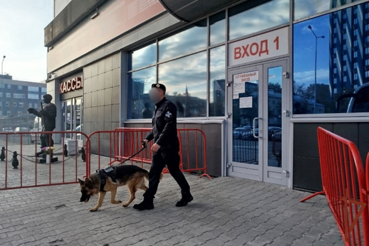 В Екатеринбурге сотрудники Росгвардии обеспечили общественную безопасность на всероссийских матчах по хоккею и футболу 