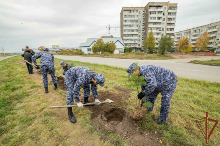 В Хакасии росгвардейцы приняли участие во всероссийской акции «Сохраним лес» 