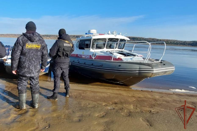 При содействии ОМОН Росгвардии задержаны подозреваемые в незаконной добыче водных биологических ресурсов в Югре (видео)