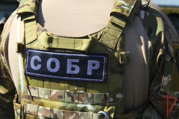 В Калининграде при силовой поддержке СОБР «Викинг» Росгвардии задержаны подозреваемые в убийстве (видео)