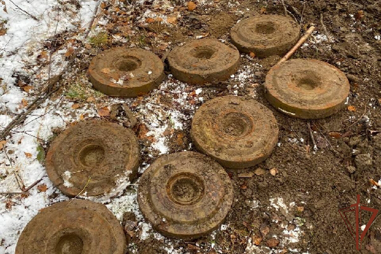Более 30 боеприпасов обследовали взрывотехники ОМОН Росгвардии в Вологодской области