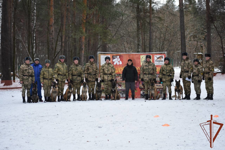 Курсанты Росгвардии одержали победу на чемпионате среди кинологов «Большой русский ринг»