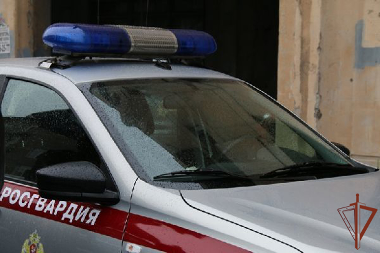 Росгвардейцы задержали в Подмосковье подозреваемого в покушении на убийство