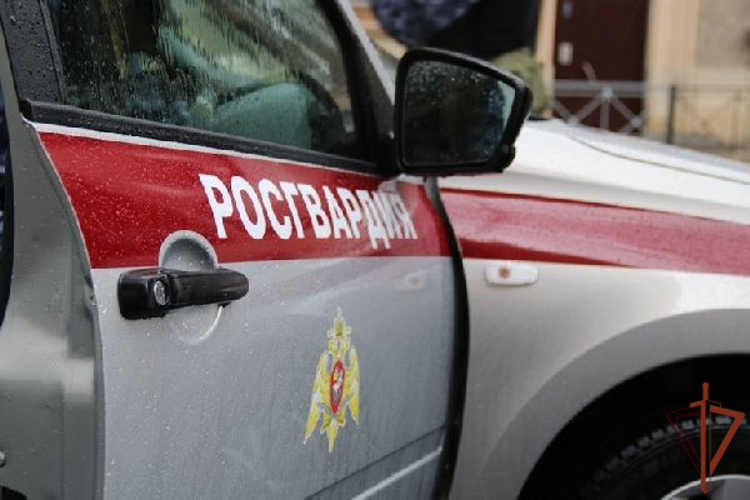 Сотрудники Росгвардии в Санкт-Петербурге задержали водителя, подозреваемого в применении оружия во время дорожного конфликта