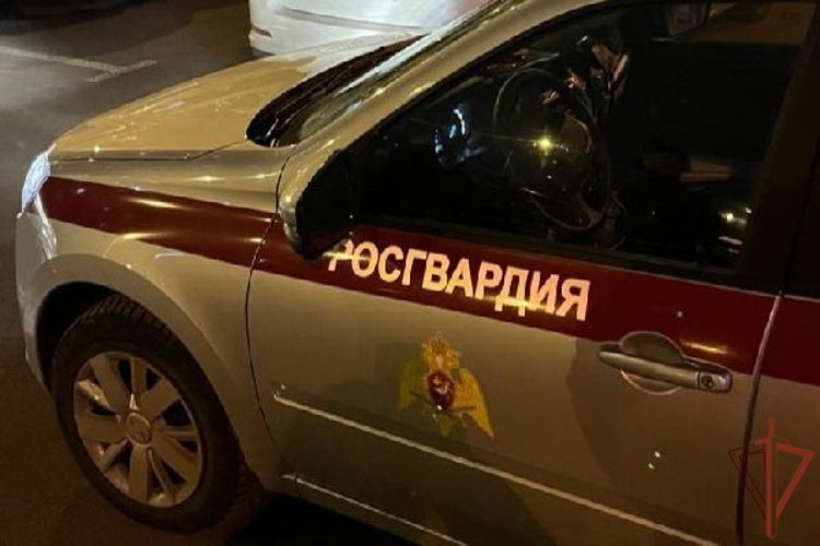Во Владимирской области росгвардейцы нашли пропавшего ребенка