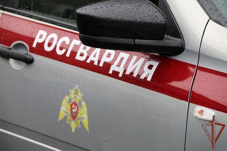 В Тыве росгвардейцы оказали первую помощь пострадавшему в ДТП 