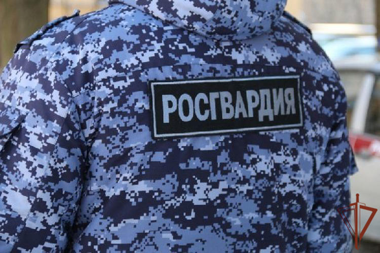 Сотрудники Росгвардии задержали в Санкт-Петербурге агрессивного прохожего, угрожавшего ножом бригаде скорой (видео)