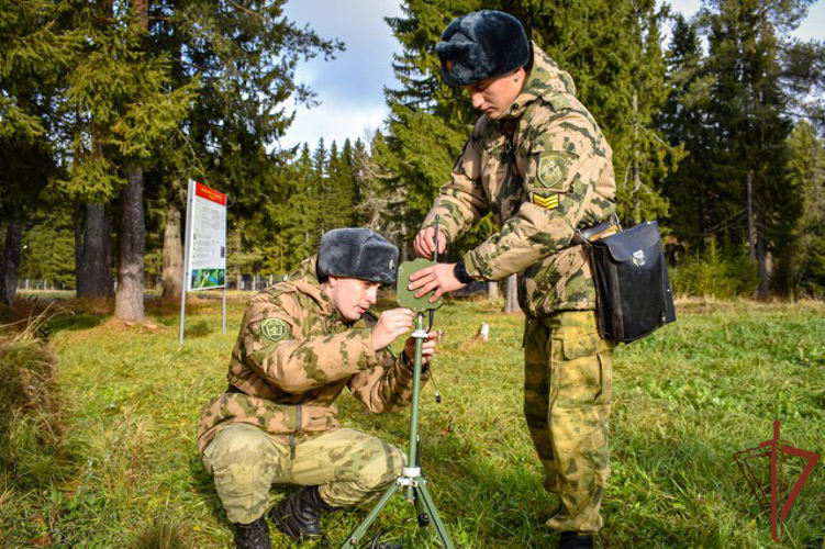 В Сыктывкаре завершают стажировку курсанты Пермского военного института Росгвардии