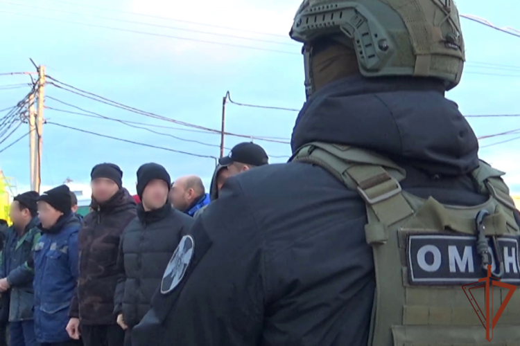 При содействии спецназа Росгвардии на стройплощадках Санкт-Петербурга и Ленобласти прошел профилактический рейд (видео)