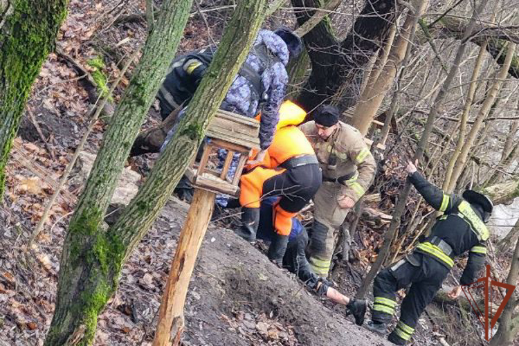 В Петербурге наряд Росгвардии оказал содействие сотрудникам МЧС в спасении упавшего в воду гражданина 