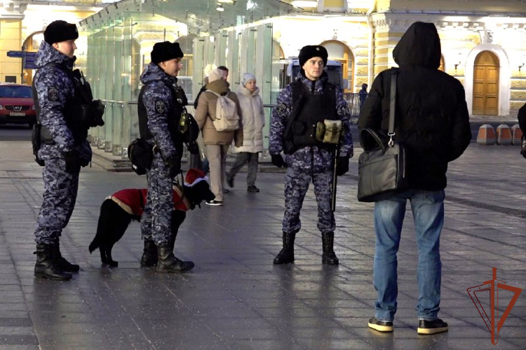 В преддверии праздника служебные собаки Росгвардии вышли на службу в новогодних костюмах (видео)