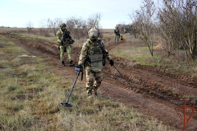 В Херсонской области саперы Росгвардии  обнаружили тротиловые шашки на грунтовой дороге (видео)