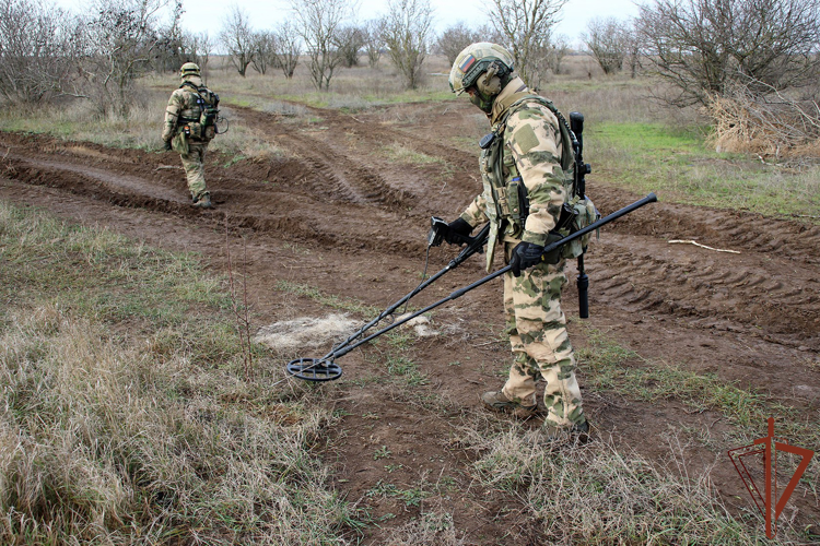 В Херсонской области саперы Росгвардии  обнаружили тротиловые шашки на грунтовой дороге (видео)