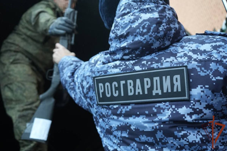В Подмосковье сотрудники Росгвардии подготовили к передаче в зону СВО порядка 800 единиц оружия для борьбы с дронами (видео)