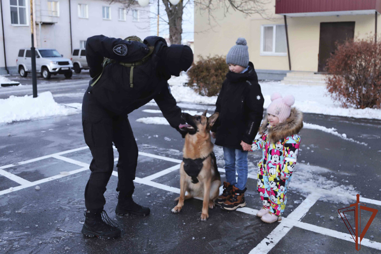 В регионах Центрального федерального округа стартовали новогодние праздничные мероприятия