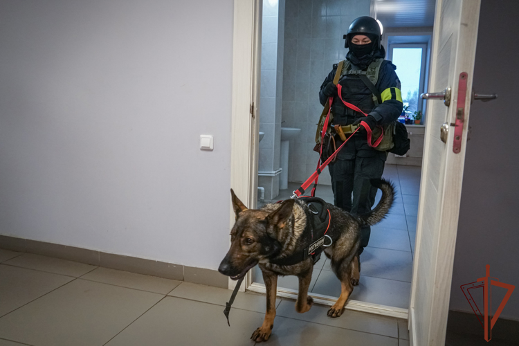 В Поморье сотрудники спецподразделений Росгвардии приняли участие в тренировке по антитеррористической защищенности объекта