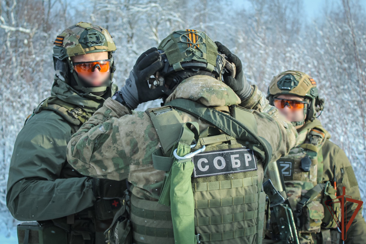 В Вологодской области прошла тренировка сотрудников спецподразделений Росгвардии (видео)