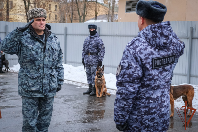 В Санкт-Петербурге впервые наградили служебную собаку медалью Росгвардии (видео)
