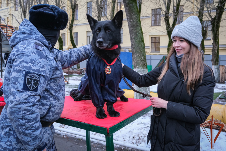 В Санкт-Петербурге впервые наградили служебную собаку медалью Росгвардии (видео)