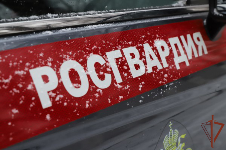 Росгвардейцы Москве задержали подозреваемого в хранении наркотических веществ (видео)