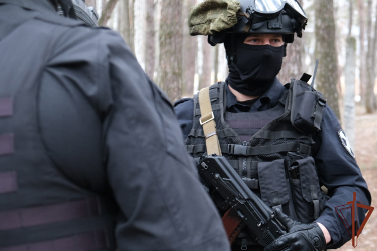 В Белгородской области перекрыт канал незаконной миграции при силовой поддержке спецназа Росгвардии