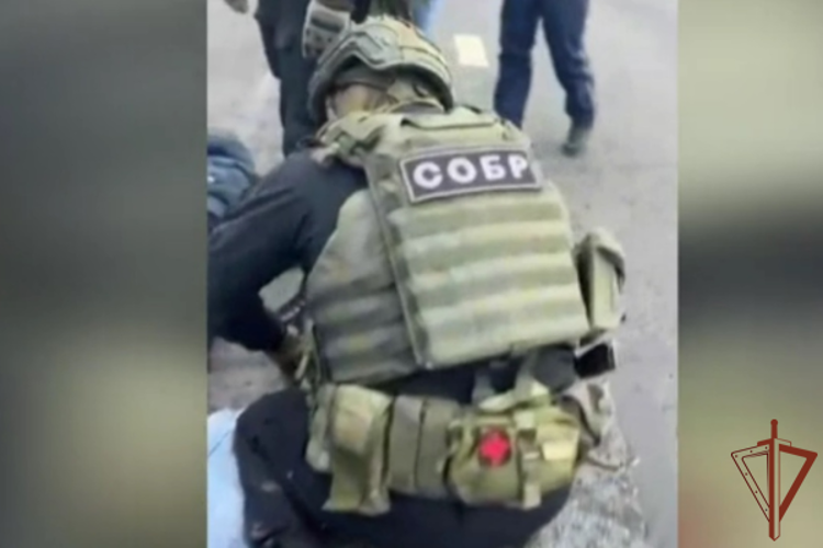 Подозреваемые в сбыте наркотиков в особо крупном размере задержаны при силовой поддержке СОБР Росгвардии в Вологодской области (видео)