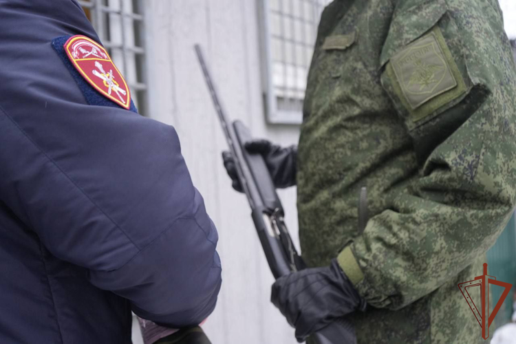 В Подмосковье сотрудники Росгвардии подготовили к передаче в зону СВО порядка 800 единиц оружия для борьбы с дронами (видео)