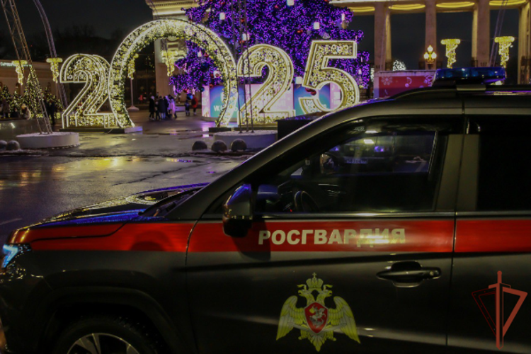 Росгвардия приняла участие в обеспечении правопорядка и общественной безопасности в период встречи Нового 2025 года 
