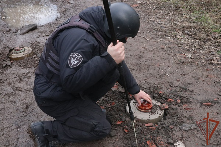 В Южном округе отмечают день инженерной службы Росгвардии
