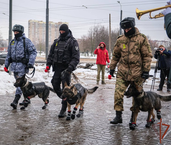  Санкт-Петербурге росгвардейцы почтили память военных кинологов и служебных собак