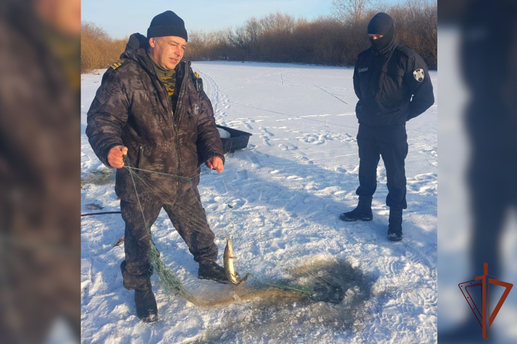 Росгвардия совместно с Росрыбоохраной провели совместные мероприятия в Югре и Зауралье 