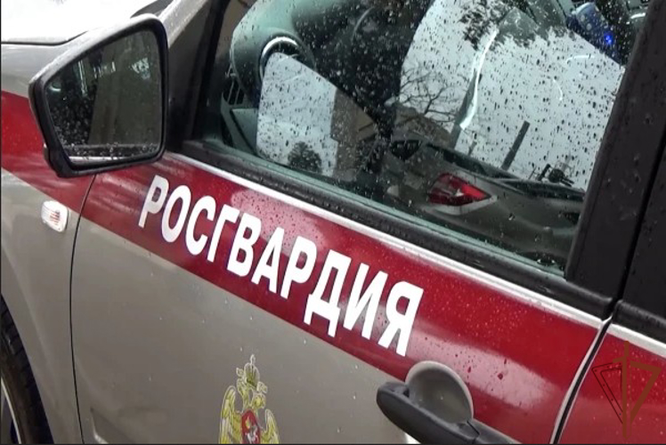Сотрудники Росгвардии задержали в Москве мужчину, угрожавшего пистолетом работникам одного из магазинов (видео)