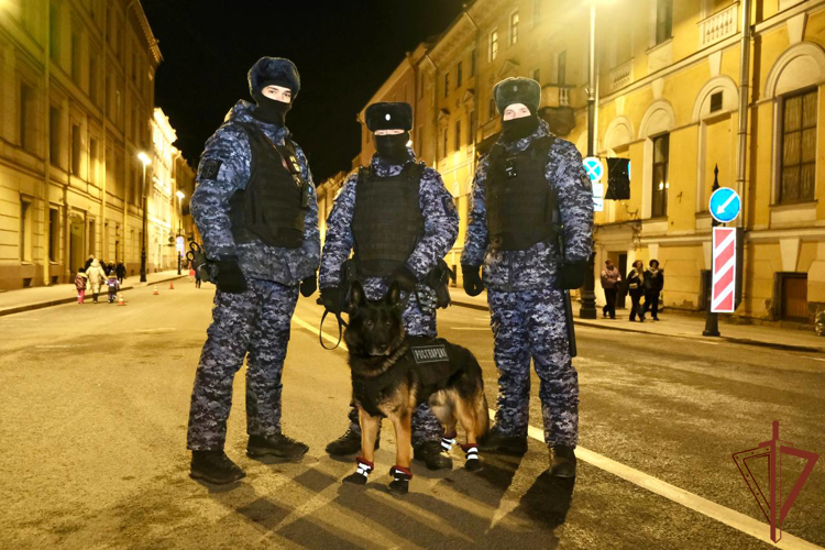 Мужчина, запустивший фейерверк в месте скопления прохожих, задержан военнослужащими Росгвардии в Санкт-Петербурге 