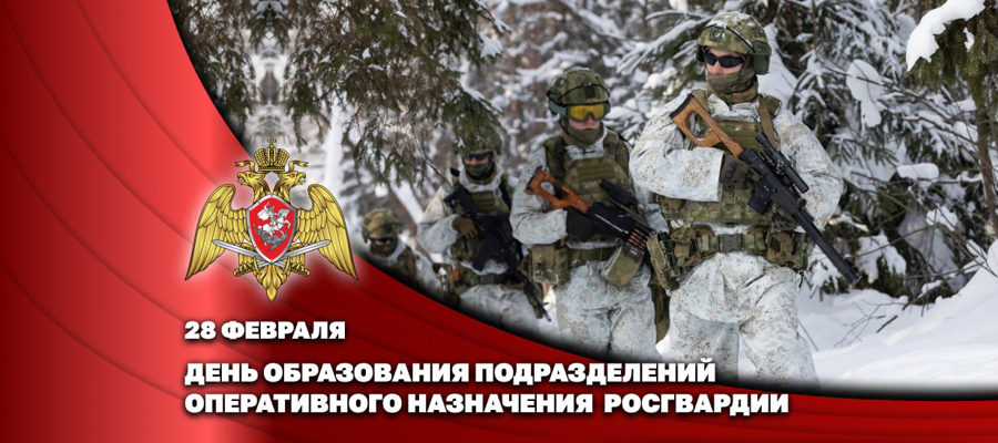 Генерал-полковник Владислав Ершов поздравил личный состав и ветеранов частей оперативного назначения с профессиональным праздником