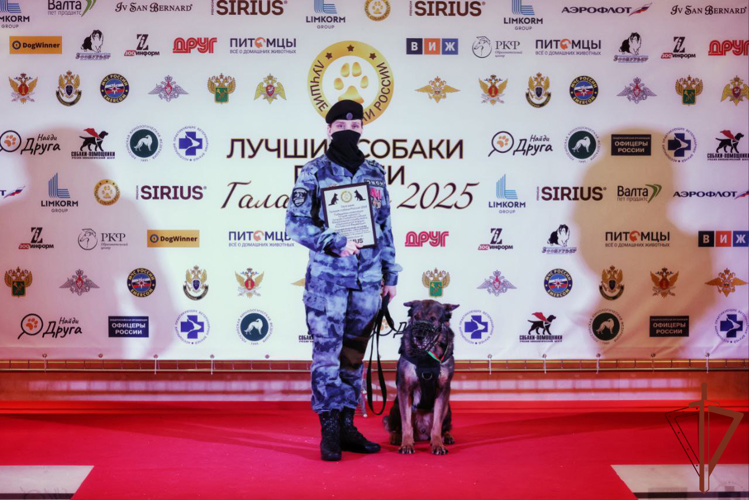 Кинологи и служебные собаки Росгвардии – участники СВО стали лауреатами международного конкурса профессионального мастерства