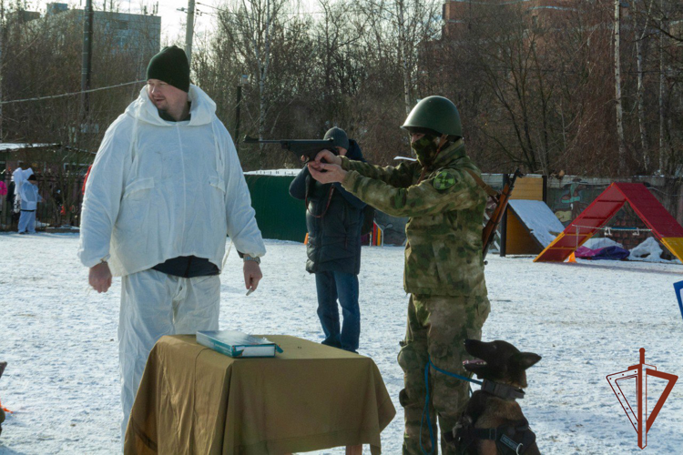 Кинологи Росгвардии выступили на военно-патриотическом кроссе «Фронтовая собака» 
