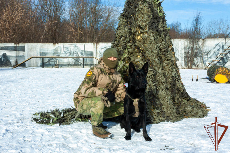 Кинологи Росгвардии выступили на военно-патриотическом кроссе «Фронтовая собака»