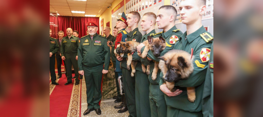 В Пермском военном институте Росгвардии впервые прошла торжественная церемония вручения щенков курсантам-кинологам (видео)