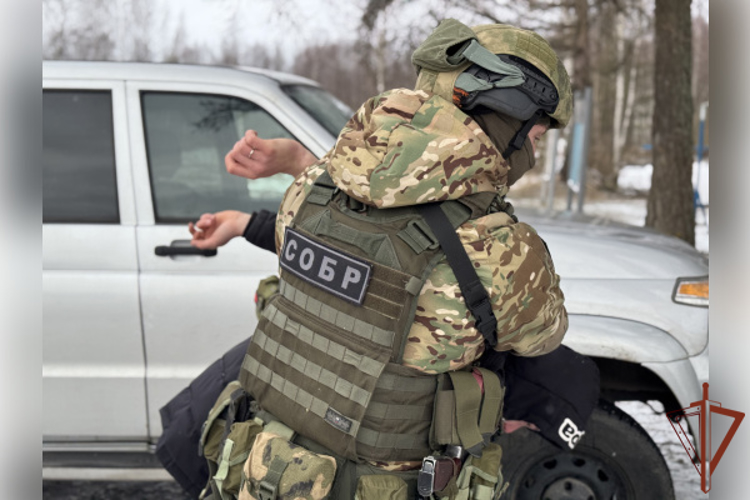 Подозреваемый в мошенничестве в особо крупном размере задержан в Твери при силовой поддержке спецназа Росгвардии