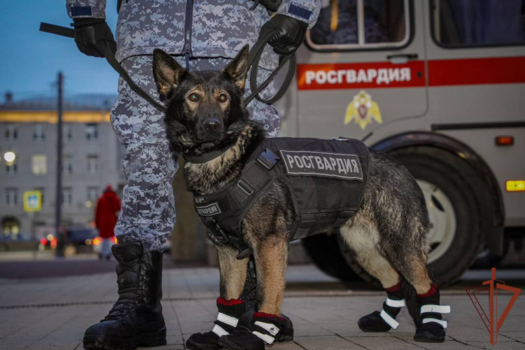 Безопасность матча КХЛ в Санкт-Петербурге обеспечили росгвардейцы